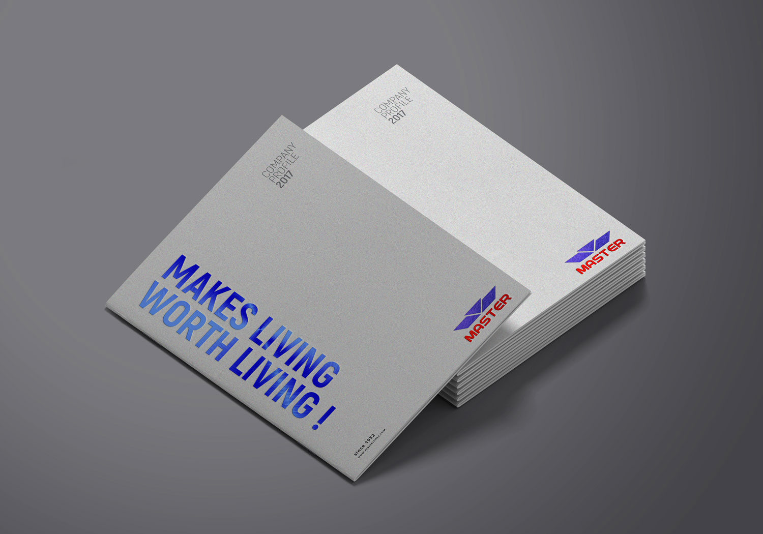 Master Group | Company Profile 2017