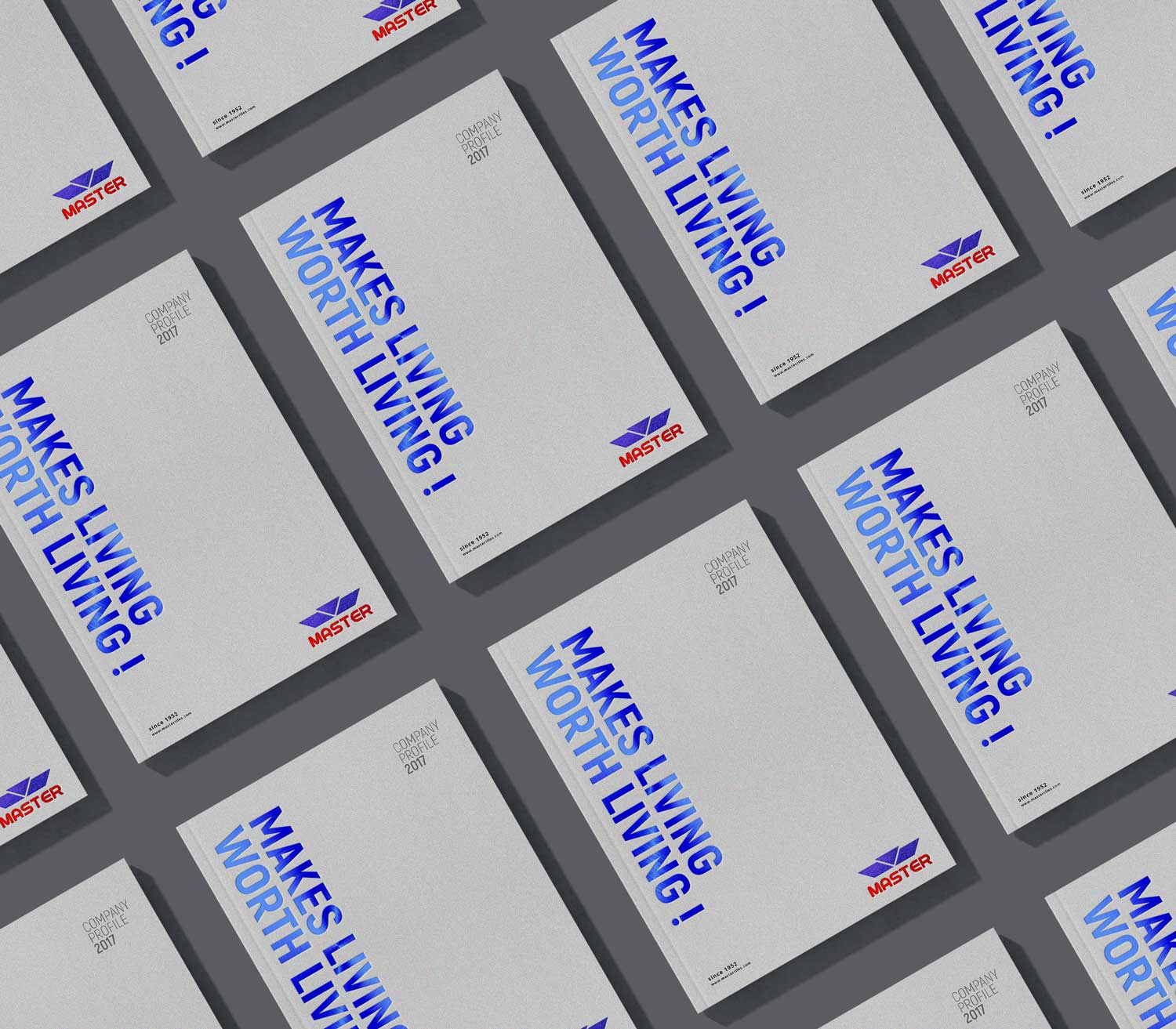 Master Group | Company Profile 2017