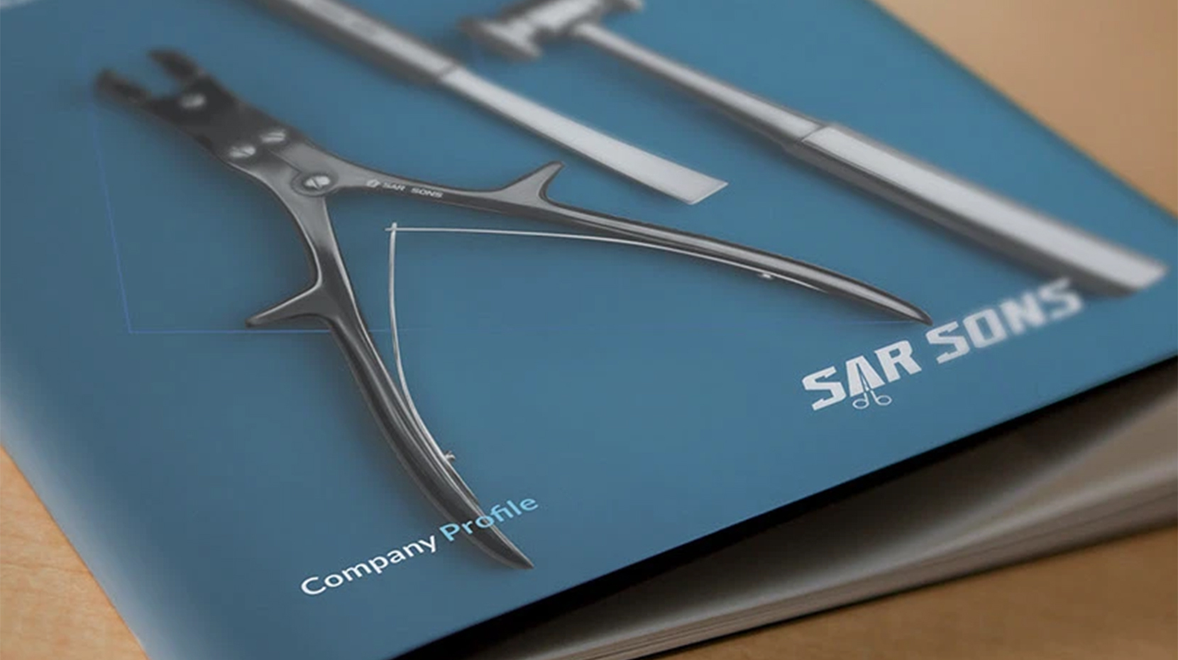 Company Profile | Brochure | Sarsons