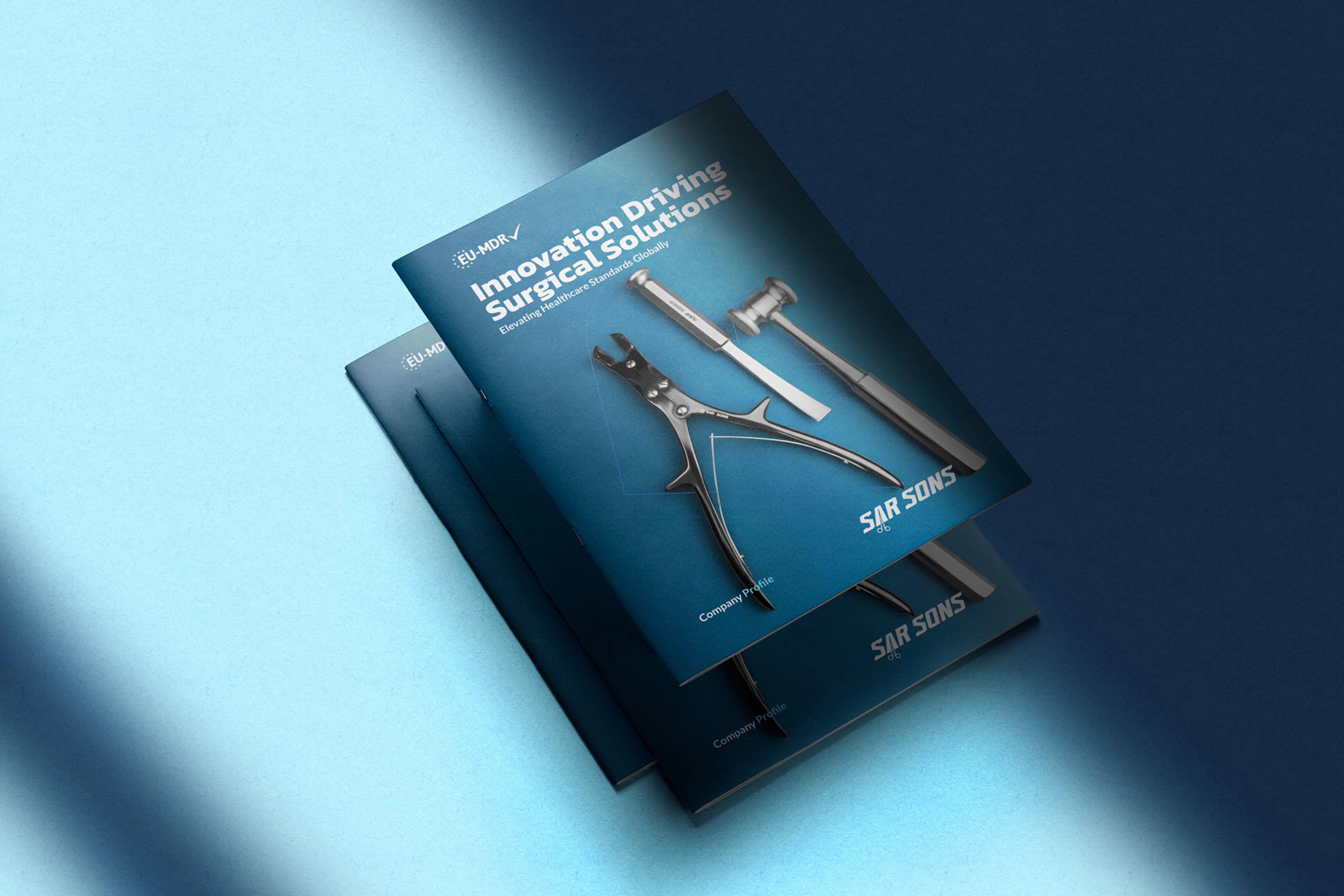 Company Profile | Brochure | Sarsons