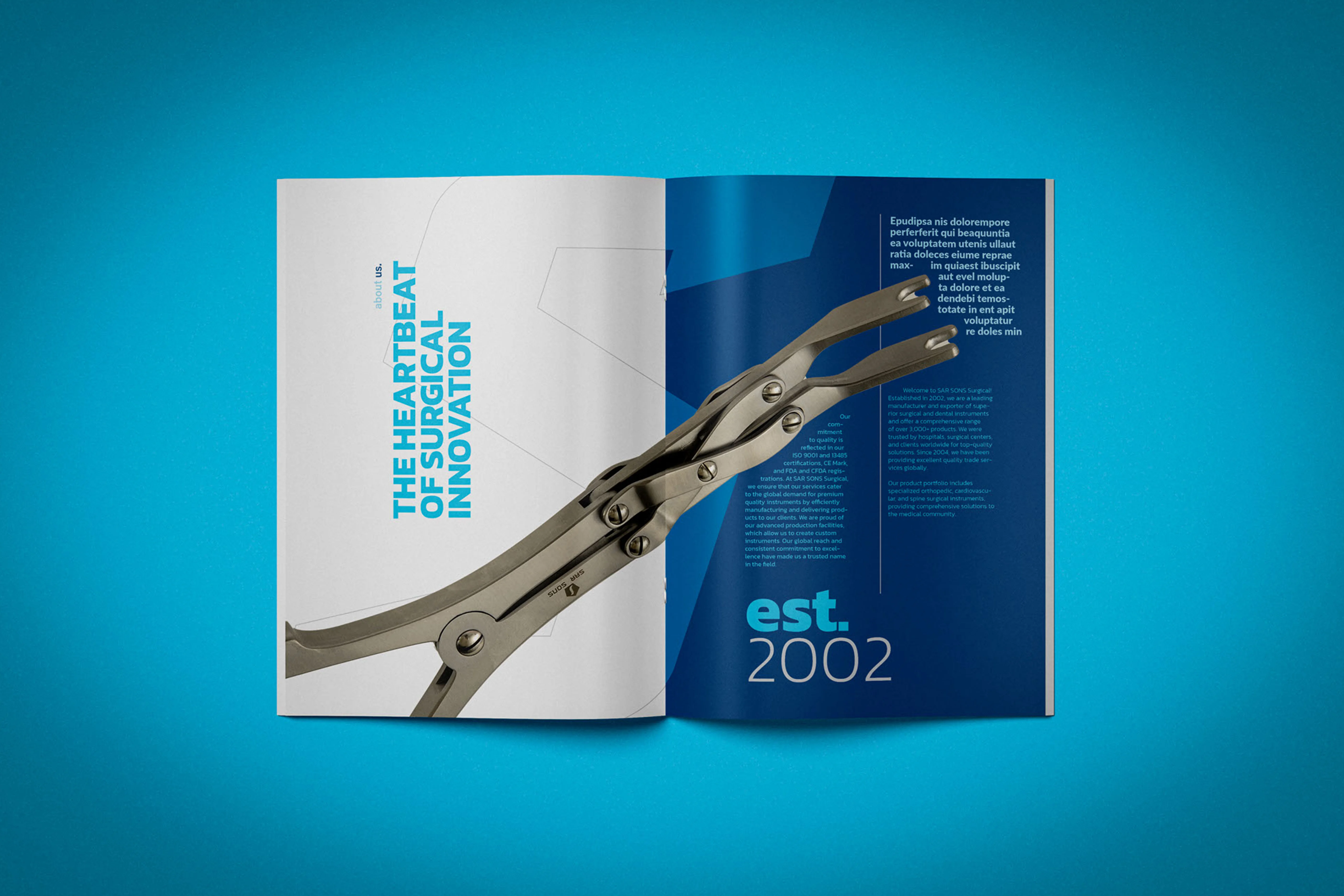 Company Profile | Brochure | Sarsons
