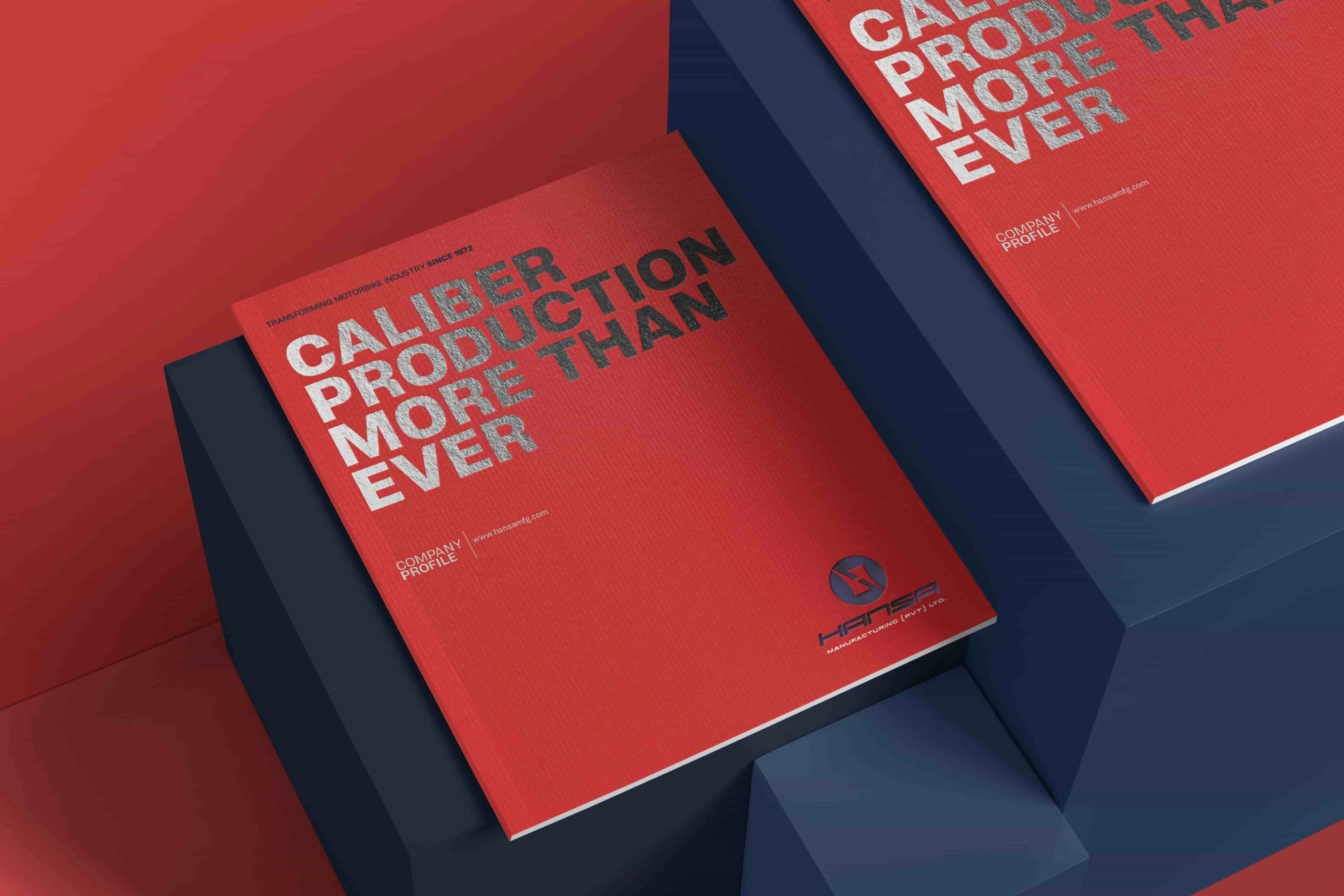 Company Profile | Brochure | Hansa