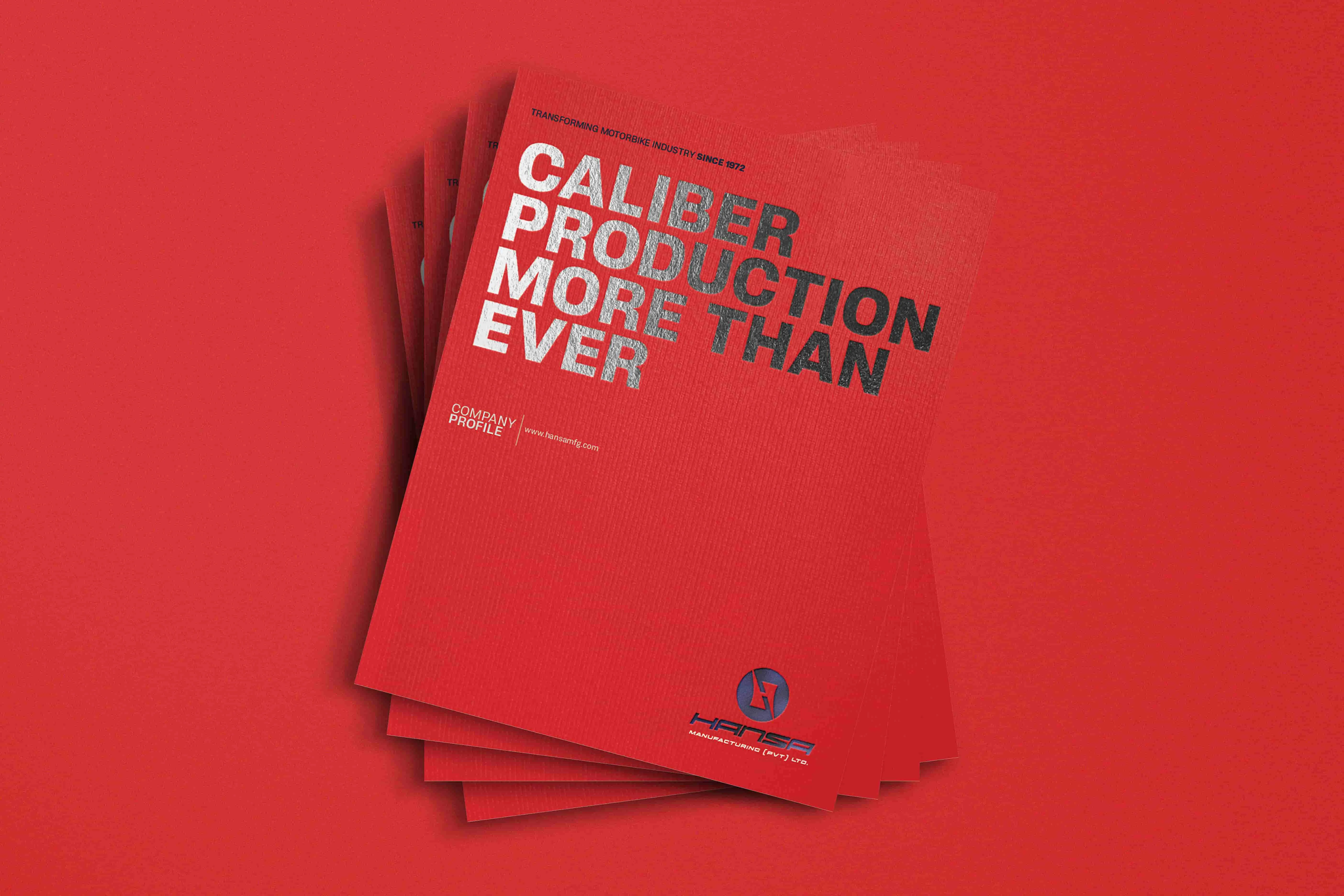 Company Profile | Brochure | Hansa